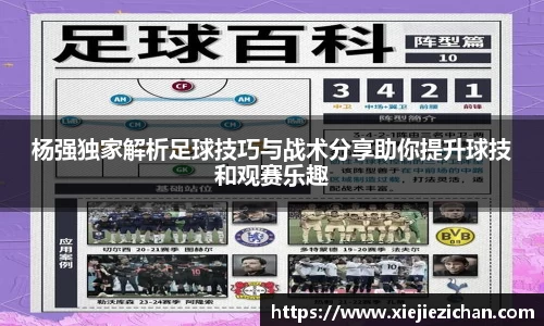 杨强独家解析足球技巧与战术分享助你提升球技和观赛乐趣