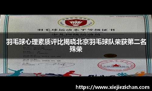 羽毛球心理素质评比揭晓北京羽毛球队荣获第二名殊荣